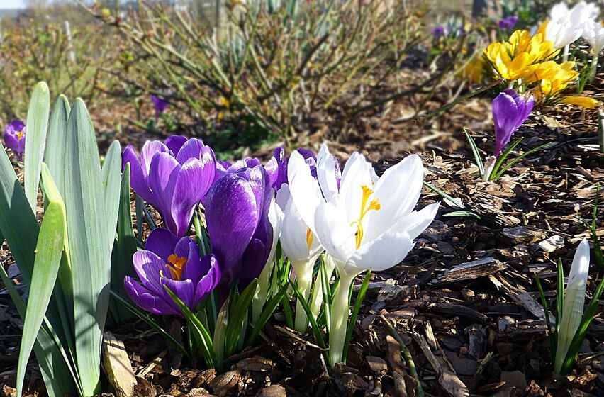 Foto:Pfarrbriefservice: Friedbert Simon